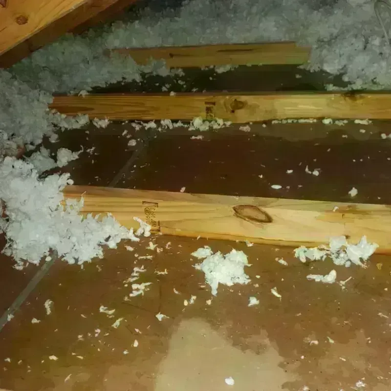 Attic Water Damage in Wright County, IA