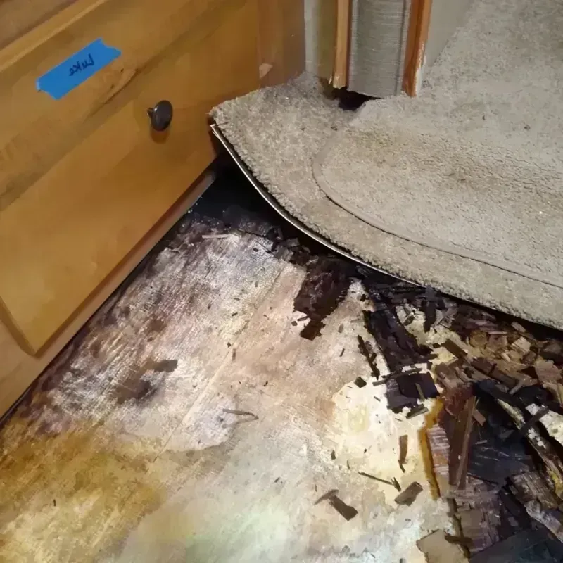 Wood Floor Water Damage in Wright County, IA